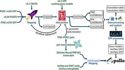 Evidence-based unification of potato gene models with the UniTato collaborative genome browser